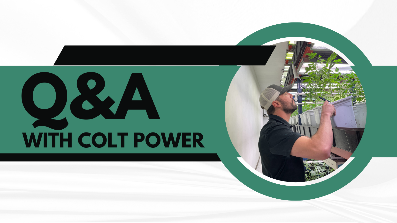 Q and A with Colt Power header image