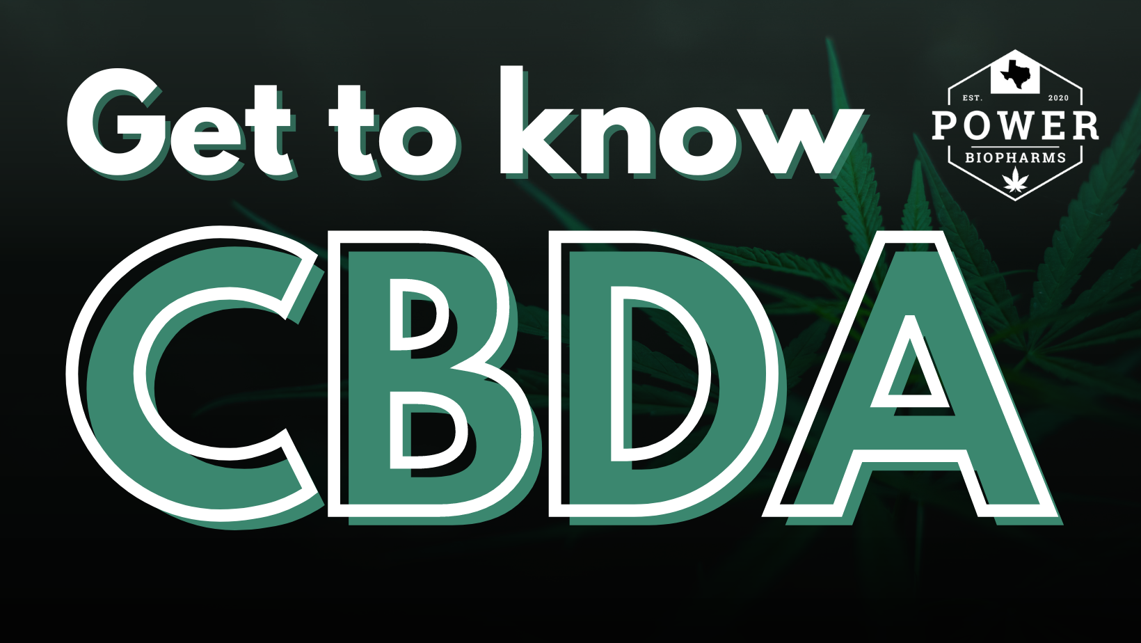 know CBDA cannabis blog